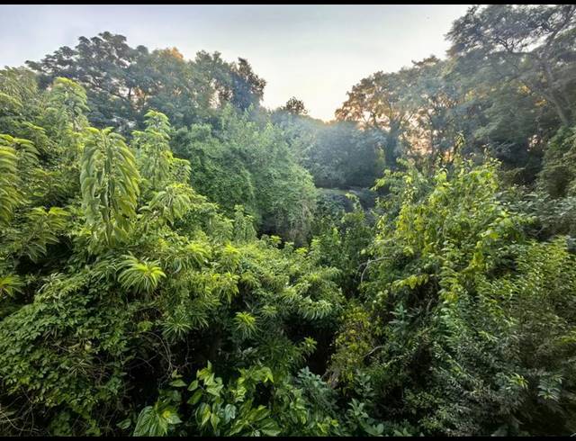 5 BEDROOM HOUSE FOR SALE IN WATERKLOOF